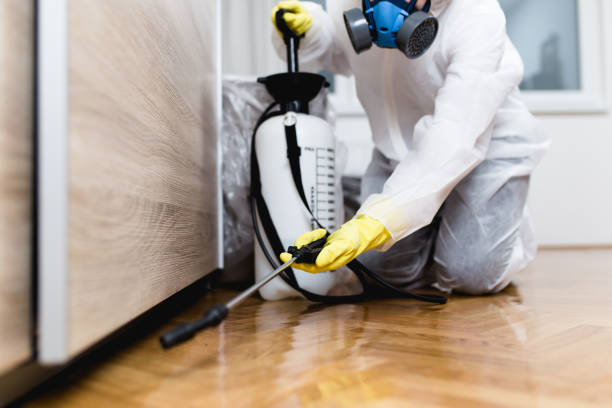 Best Pest Removal Services  in Cedar City, UT
