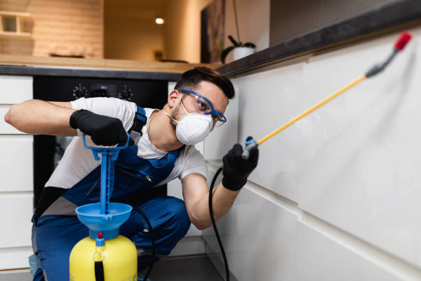Best Wildlife Control Services  in Cedar City, UT