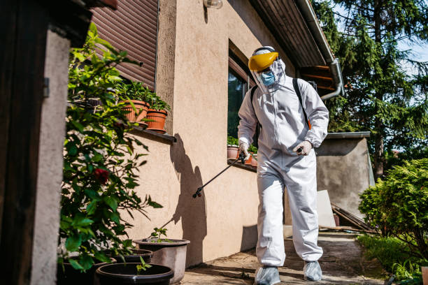 Best Pest Removal Services  in Cedar City, UT