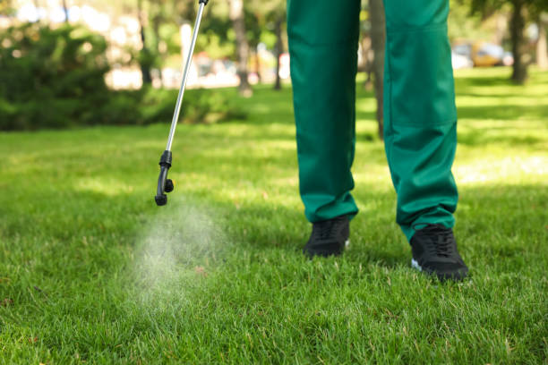 Best Affordable Pest Control Services  in Cedar City, UT