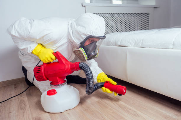 Best Wasp Removal Services  in Cedar City, UT