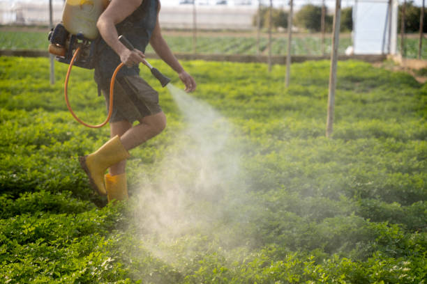 Professional Pest Control in Cedar City, UT