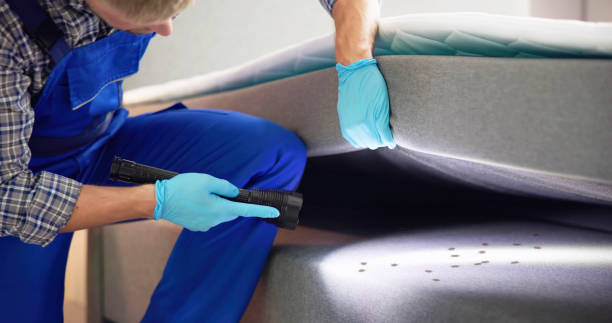 Best Exterminator Services  in Cedar City, UT