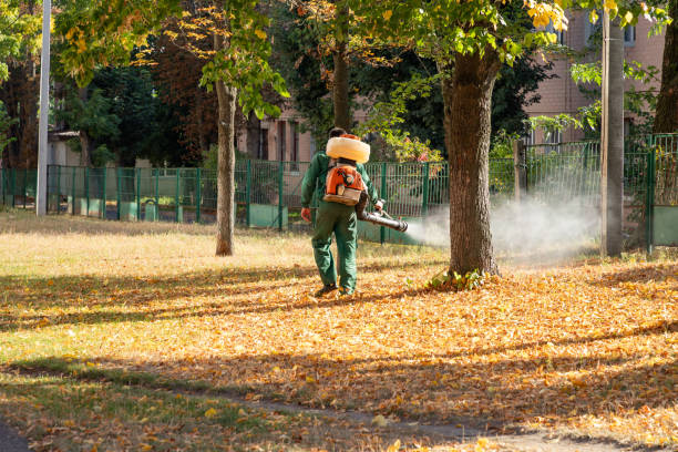 Best Pest Control Treatment  in Cedar City, UT