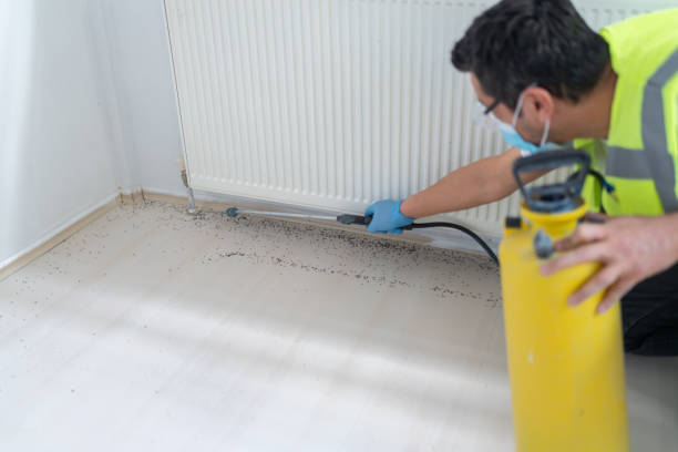 Professional Pest Control in Cedar City, UT