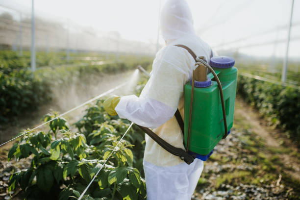 Best Local Pest Control Services  in Cedar City, UT